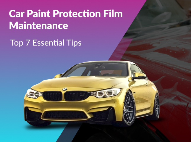 Car Paint Protection Film Maintenance