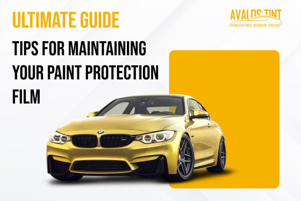 Top 10 Tips for Car Paint Protection Film Maintenance